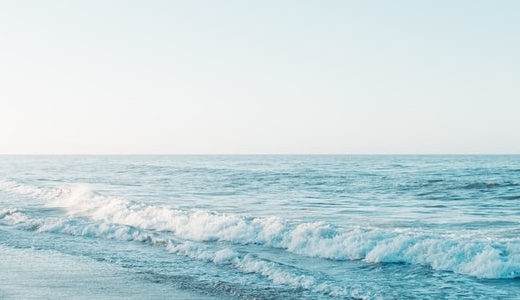 レッドジョーカー先輩の年齢に身長＆本名は？高校も調べてみた！